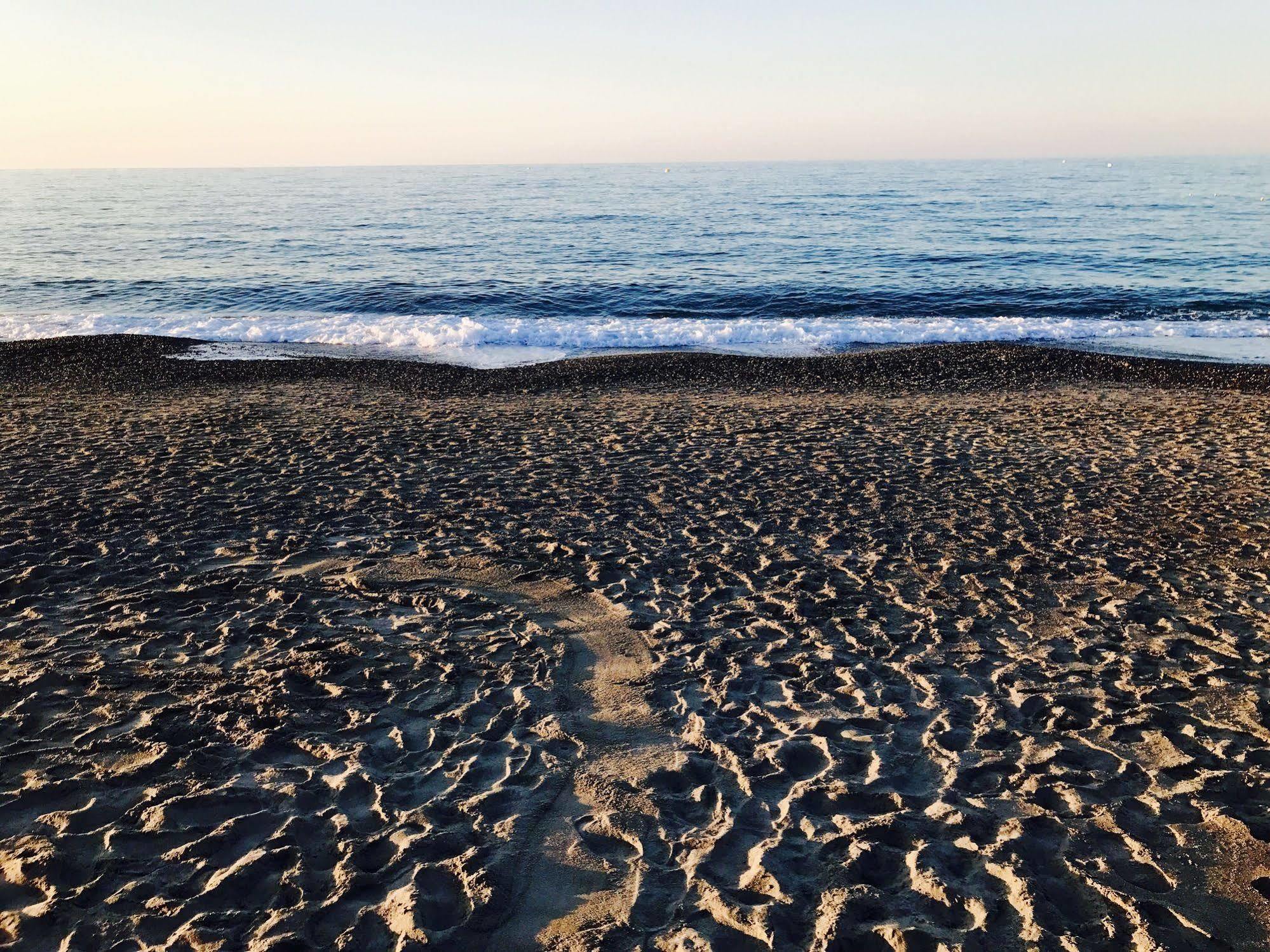 פלטניאס Katerina Seaside Studios מראה חיצוני תמונה